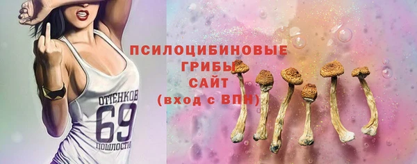 2c-b Алексин