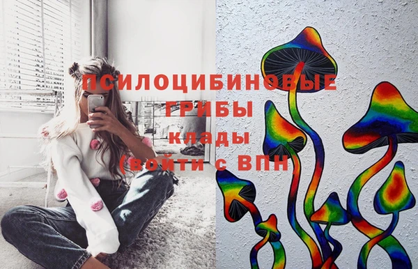 2c-b Алексеевка